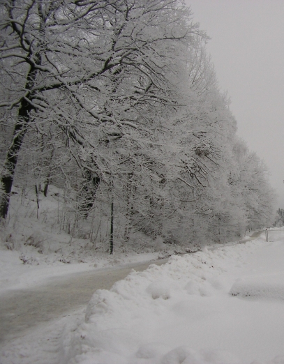 Winter in Stockholm